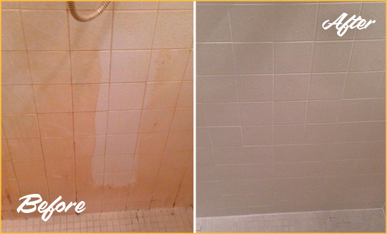 Before and After Picture of a Arlington Porcelaine Shower Cleaned to Remove Soap Scum